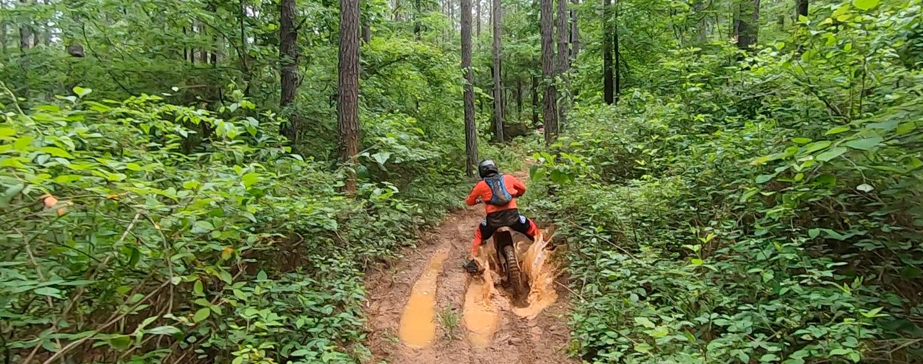 Talaria Sting Performance Highlights